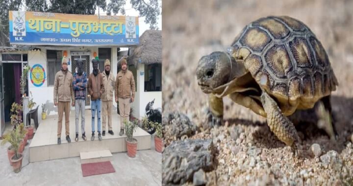उत्तराखंड: यहाँ बस से हो रही थी कछुओं की तस्करी, दो महिला तस्करों समेत चार गिरफ्तार