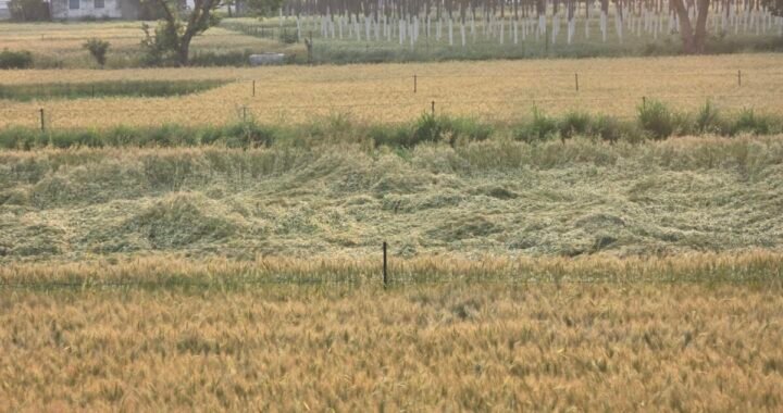 हल्द्वानी :देर रात बिगड़ा मौसम, हल्द्वानी में तेज आंधी और बारिश से भारी नुकसान