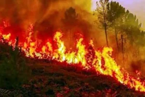 उत्तराखंड: जंगलों की आग पर काबू पाने की तैयारी, सरकार ने शुरू किया बड़ा अभियान