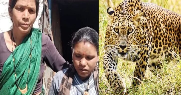 उत्तराखंड: जंगल में गुलदार ने किया हमला, सीता की बहादुरी ने बचाई गीता की जान!