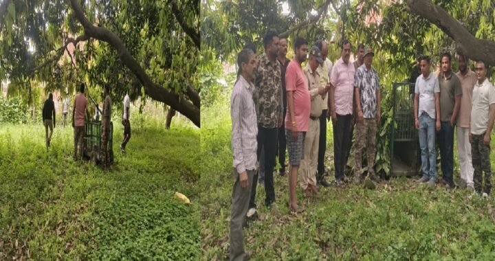 उत्तराखंड: गांव में दहशत फैलाता गुलदार, तीन पर हमला, विरोध के बाद लगाए गए पिंजरे