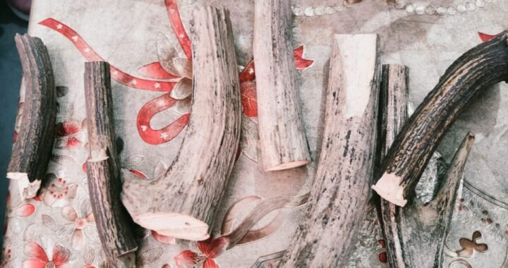 उत्तराखंड : यहां शुगर पेशेंट बनकर पहुंची एसडीएम, खोल दी डॉ की पोल