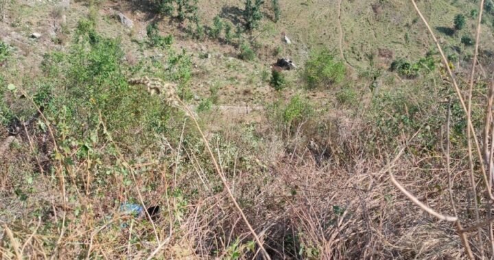 नैनीताल :(दुखद) मैक्स गिरी खाई में, दो की मौत, चार घायल