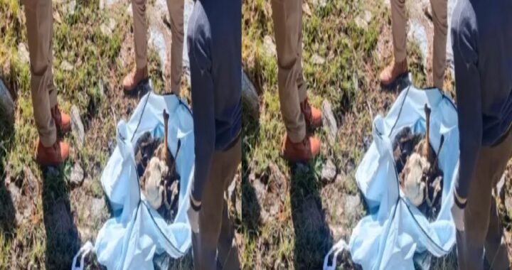 उत्तराखंड: एक साल से गायब बुजुर्ग का कंकाल जंगल में मिला