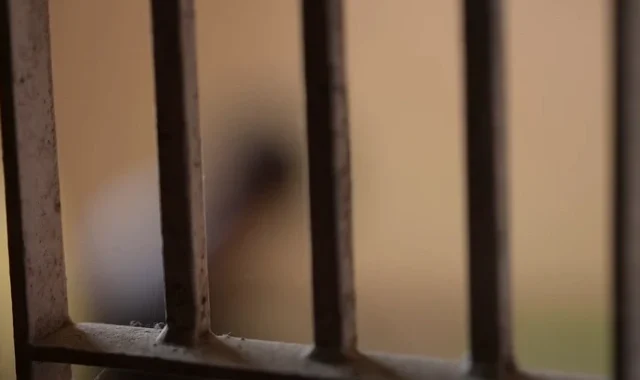 नैनीताल : हाईप्रोफाइल यौन शोषण मामले में बड़ा एक्शन, भवाली व्यापार मंडल अध्यक्ष नरेश पांडे हिरासत में