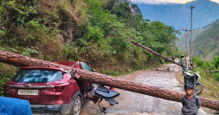 उत्तराखंड : भारी तूफान से गाड़ी के ऊपर गिरा विशालकाय पेड़