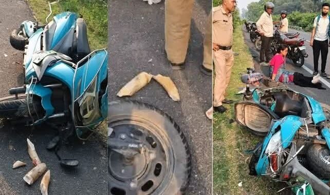 उत्तराखंड : अजब हादसा हुआ, शिक्षिका की स्कूटी भिड़ी, टूट गया हाथी का दांत..