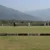 हल्द्वानी :(बड़ी खबर) मीडिया 11 ने की शानदार वापसी, सीरीज 2-2 से बराबर