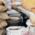 उत्तराखंड: सस्ते गल्ले की दुकानों पर छापा, गड़बड़ी पर सख्त कार्रवाई के निर्देश