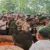 उत्तराखंड के अग्निवीर रमनजीत सिंह का निधन, पूरे सैन्य सम्मान के साथ अंतिम संस्कार