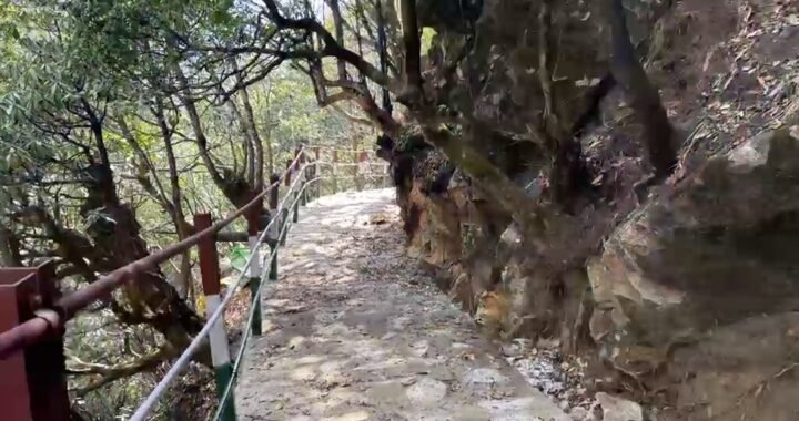 श्रद्धालुओं के लिए जरूरी खबर, केदारनाथ के एक मार्ग पर लगा प्रतिबंध