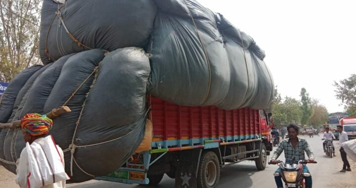 नैनीताल :(बड़ी खबर) डीएम ने भूसे पर लगाई रोक