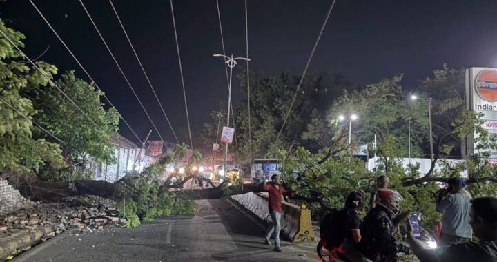 हल्द्वानी में आंधी का असर, काठगोदाम हाईवे पर गिरा पेड़, यातायात बाधित