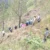 उत्तराखंड में दर्दनाक सड़क हादसा, बोलेरो के परखच्चे उड़े; 4 की मौत, कई घायल