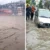 उत्तराखंड में मौसम ने ली करवट, बारिश का येलो अलर्ट जारी, जानिए कब देगा मानसून दस्तक