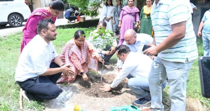 हरेला पर्व पर ऋतु खण्डूड़ी का बड़ा संदेश, हर परिवार से की यह खास अपील