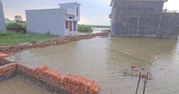 उत्तराखंड :(दुखद)  यहां जलभराव वाले प्लाट में डूबकर दो मासूम दोस्तों की मौत