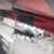 उत्तराखंड: सड़क पर घूम रहे सांड ने मचाया आतंक, युवक पर अचानक बोला हमला