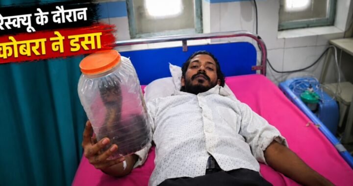 रामनगरः डिब्बे में बंद ‘जिंदा कोबरा’ लेकर अस्पताल पहुंचा युवक, बोला इसी ने डसा है