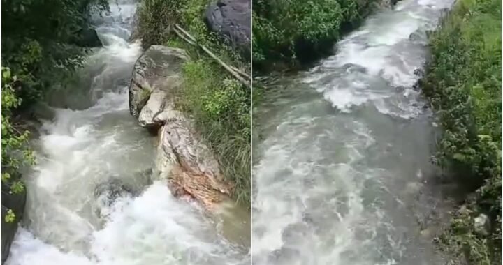 उत्तराखंड : यहाँ घास काटने गई महिला उफनते गदेरे में बही, डेढ़ घंटे बाद मिला शव