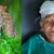 उत्तराखंड में तेंदुए की दहशत, यहाँ सोती बुजुर्ग महिला पर किया हमला