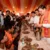 हरिद्वार में शिवभक्तों का भव्य स्वागत, सीएम धामी ने परोसा अपने हाथों से भोजन