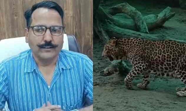 उत्तराखंड: 109 गांव रेड ज़ोन में, फेंसिंग और सोलर लाइट से होगी घेराबंदी :डीएम
