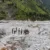 उत्तराखंड: कहां लापता हुए हवलदार पंकज? मलबे के चप्पे-चप्पे की हो रही जांच, रडार से भी तलाश