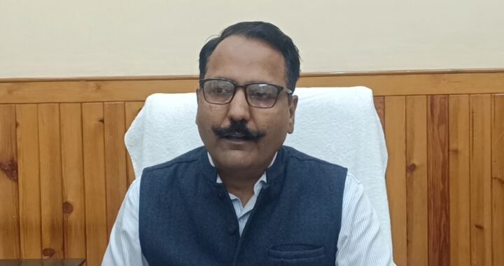 नैनीताल की लाइफ लाइन फिर होगी मजबूत, मॉल रोड के पुनर्निर्माण में तेजी; जानिए कितना काम हुआ