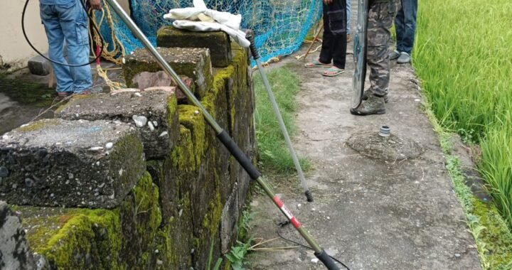 उत्तराखंड: यहां पागल कुत्तों का आतंक, तीन दिन स्कूल बंद