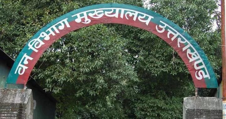 उत्तराखंड: वन विभाग की अचानक छापेमारी से मचा हड़कंप, इन कारोबारियों पर कड़ी नजर!
