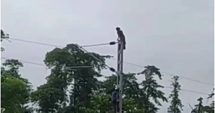 उत्तराखंड: प्रेमी ने शादी से किया इनकार तो पोल पर चढ़ गई युवती, मच गई अफरा-तफरी