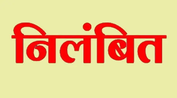 अल्मोड़ा में फर्जी टीईटी प्रमाणपत्र के मामले में तीन सहायक शिक्षक निलंबित