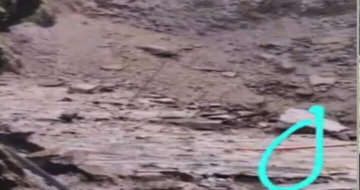 उत्तराखंड: केदारनाथ पैदल मार्ग पर बड़ा हादसा: पहाड़ी से गिरे पत्थर की चपेट में आया 5 साल का बच्चा, मौके पर मौत !