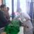 उत्तराखंड: सेना के ट्रक का ब्रेक फेल होते ही मची अफरा-तफरी, चपेट में महिलाएं आई