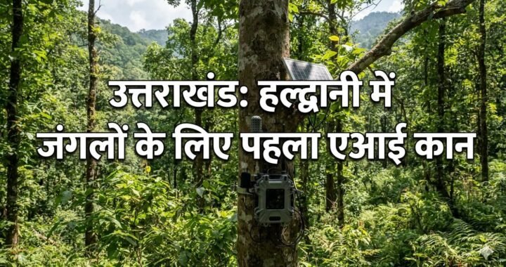 उत्तराखंड: हल्द्वानी में जंगलों के लिए पहला एआई कान