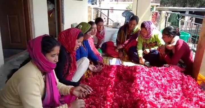 उत्तराखंड: पहाड़ी फलों से जैम-चटनी बनाकर आत्मनिर्भर बन रहीं हल्द्वानी की महिलाएं, बड़े शहरों तक पहुंच रहे उत्पाद
