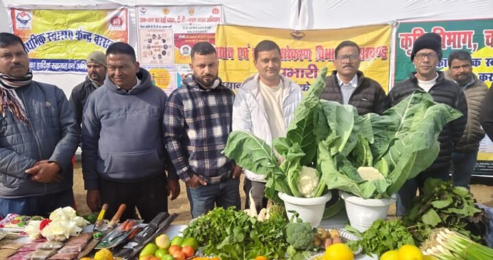 उत्तराखंड: M.A. और आपदा प्रबंधन की पढ़ाई के बाद खेती चुनी, 40 नाली जमीन पर विनोद ने खड़ा किया नया मॉडल