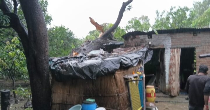 उत्तराखंड: भारी बारिश के बीच चोरगलिया में बड़ा हादसा, पेड़ गिरने से दो मकान क्षतिग्रस्त