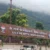 गंजेपन से परेशान लोगों के लिए बड़ी खुशखबरी, उत्तराखंड के इस सरकारी अस्पताल में फ्री हेयर ट्रांसप्लांट शुरू
