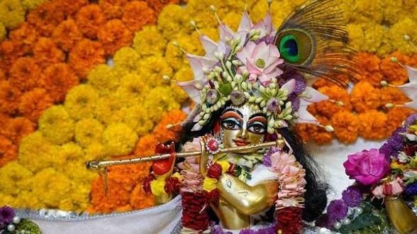 जन्माष्टमी पर जानिए हल्द्वानी की उस खास वाटिका के बारे में, जहां मौजूद हैं भगवान कृष्ण से जुड़े 5 अनोखे पौधे!