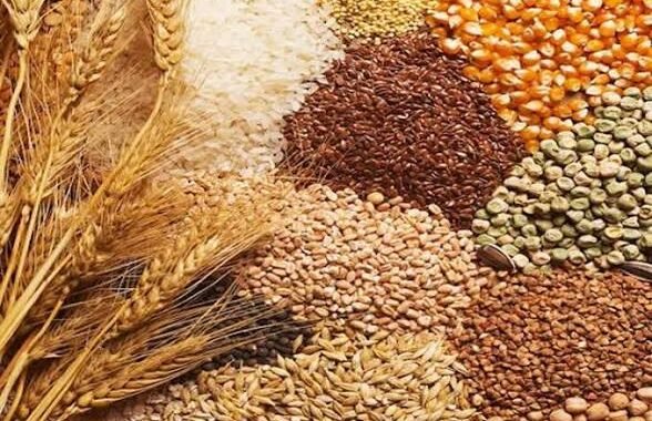 कुंभ 2027 से पहले उत्तराखंड को बड़ी सौगात, केंद्र ने आवंटित किया 8,029 मीट्रिक टन अतिरिक्त खाद्यान्न