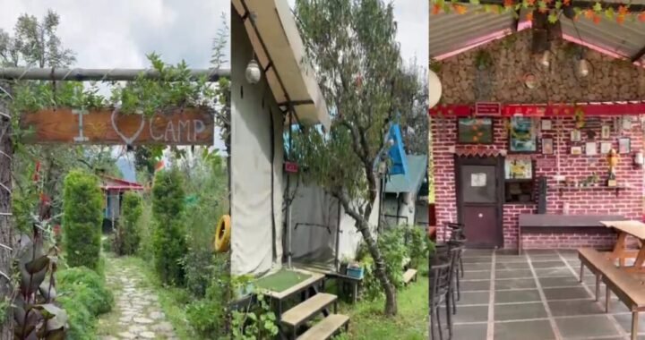उत्तराखंड: सरकारी योजना से मिला 10 लाख का सहारा, पहाड़ में शुरू किया काम; अब हर महीने हो रही 60-70 हजार की कमाई