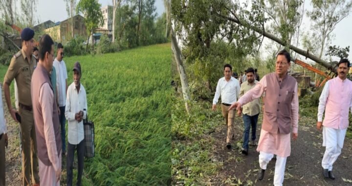 बाजपुर में मौसम की मार से फसलें और बाग प्रभावित, सीएम धामी ने लिया जायजा धामी, आकलन के दिए निर्देश