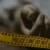 उत्तराखंड: भीषण सड़क हादसा, तेज रफ्तार डंपर ने बाइक सवार मामा-भांजे को रौंदा, दोनों की दर्दनाक मौत